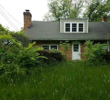 abandoned house or ruins with tall grass photo