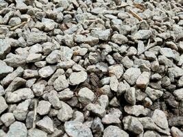 grey pebbles or stones with black ant photo