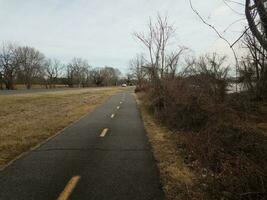 path or trail along Potomac river with trees and grass photo