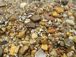 agua y piedras o guijarros y conchas en la playa foto