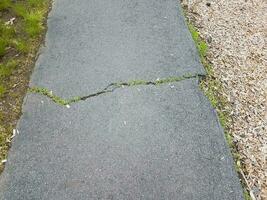 black asphalt trail or path with cracks and grass photo