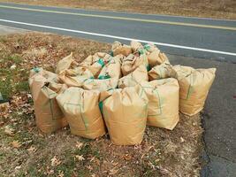 lawn debris and maintenance bags on curb near road photo