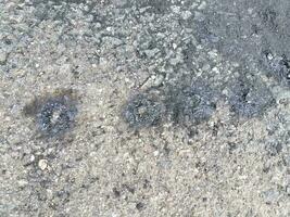 asphalt with burn marks and charcoal from fireworks photo