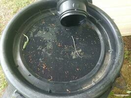 water dripping into screen of rain barrel photo