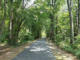 asphalt tral in the woods with jogger photo