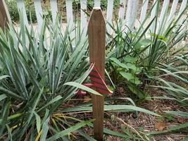 the letter A on a wood post in a garden photo