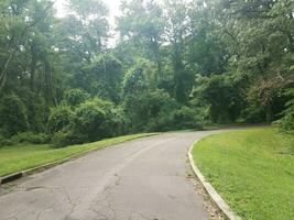 asphalt road with cracks and curbs with trees photo