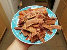 hand holding pile of bacon meat and chicken roll on blue plate photo