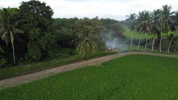 resíduos agrícolas a céu aberto video