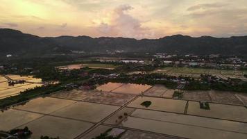 Aerial view dramatic sunset at water season paddy field video