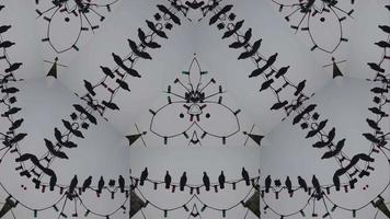 Kaleidoscope crows abstract background in 4k video
