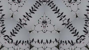 Kaleidoscope crows abstract background in 4k video