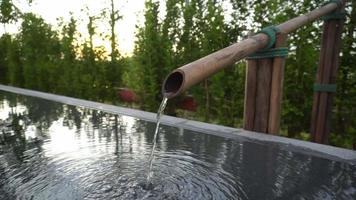 fontana di bambù nel giardino giapponese video