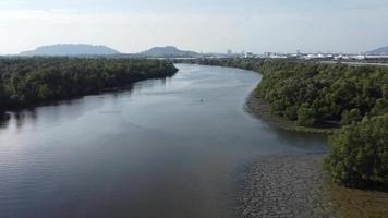 Fly across dark river with mangrove tree. video