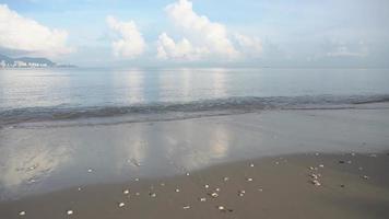 panorering skott av blå solig dag på stranden video
