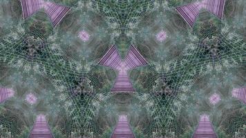 kalejdoskop av trä baldakin i abstrakt bakgrund 4k vy video