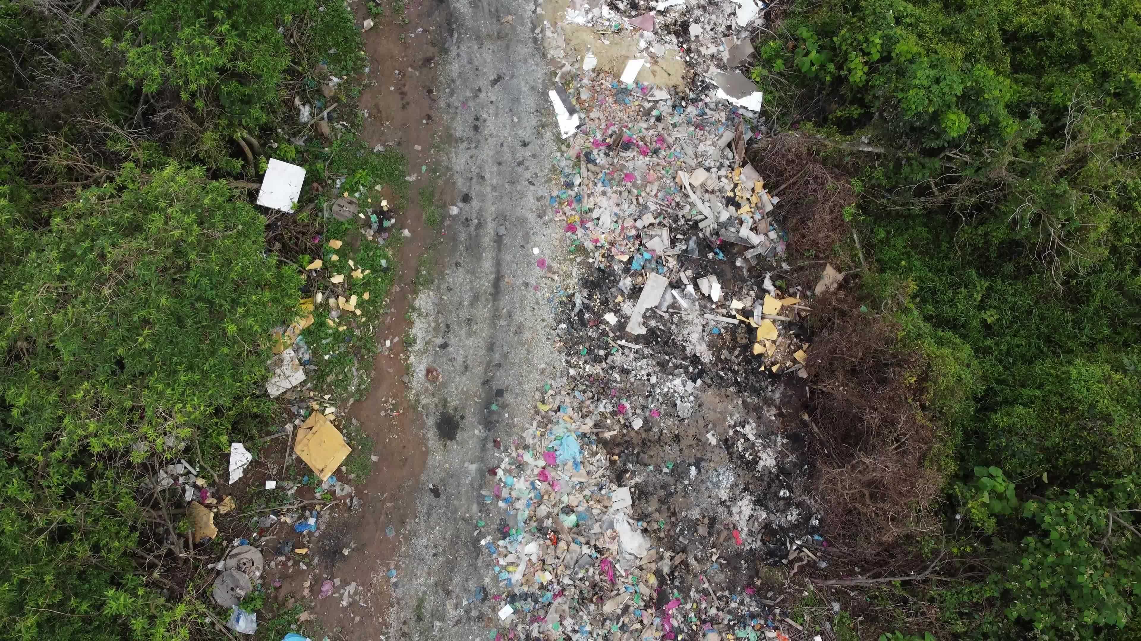 Dump site near tree 7711319 Stock Video at Vecteezy