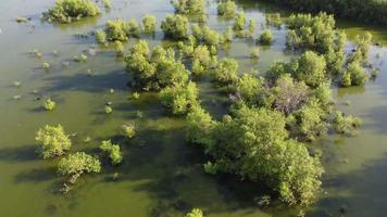 pantanal batu kawan em vista aérea video