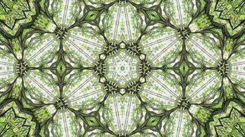 Green tree animation kaleidoscopic view. video