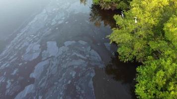 Top down view polluted water video