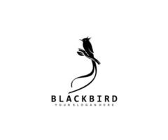 Bird Logo Design, Sillhouette Bird Logo Concept vector