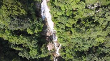 Aerial view look down waterfall at Penang Botanical Garden video