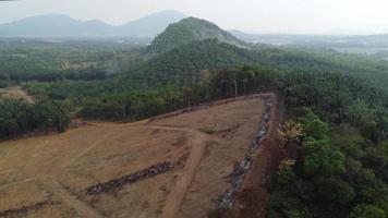 Land clear of oil palm for agricultural at hill video