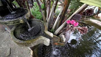 handgemachter Brunnen neben Nipah-Baum
