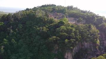 jungle de déforestation à la colline video