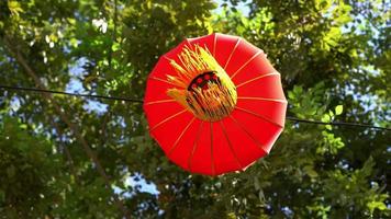 busque la decoración de la linterna roja con hojas verdes video