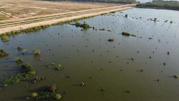 Peatland and wetland deforestation for construction video