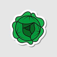 Vector cabbage sticker in cartoon style. Isolated vegetable with shadow. Flat simple icon with black lines.