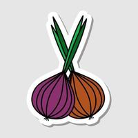 Vector onion sticker in cartoon style. Isolated vegetable with shadow. Flat simple icon with black lines.