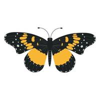 Beautiful black and yellow butterfly isolated on a white background. vector