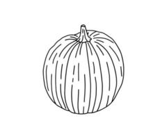 A bright illustration of pumpkins in a flat style. Cute vegetables are perfect for decorating autumn holidays, Halloween, healthy food, office supplies vector