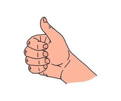 Thumb Up Icon Drawing. Thumbs up gesture doodle icon. Hand drawn sketch in vector