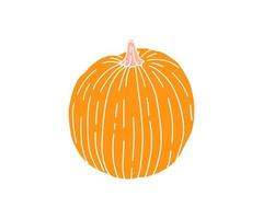 A bright illustration of pumpkins in a flat style. Cute vegetables are perfect for decorating autumn holidays, Halloween, healthy food, office supplies vector