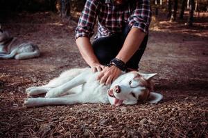 Young male traveler with husky dog photo