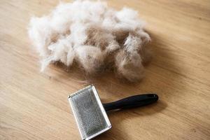 Dog comb and brush for dog hair photo