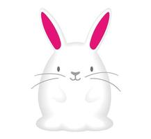 Year Of The Rabbit Or Easter Bunny Mascot.  Vector Illustration Isolated On A White Background.