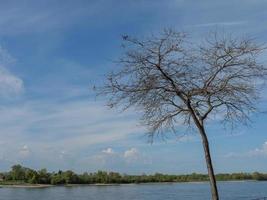 el río rin y la ciudad de rees foto