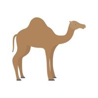 Camel Flat Multicolor Icon vector