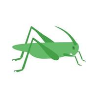 Locust Infestation Flat Multicolor Icon vector