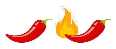 Mild and hot chilli pepper. Chili pepper for Thai or Mexican food. vector