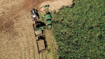 Sugar cane harvest in sunny day in Brazil. Aerial view. photo