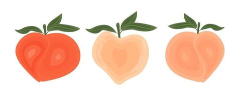 Juicy summer illustration of a peach, a tropical fruit with leaves. Cute and simple style. vector