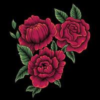 ilustración vectorial de rosas rojas vector
