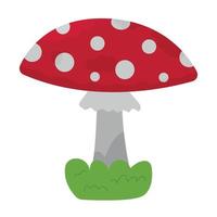 Mushroom fly agaric in cartoon style on white background vector