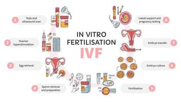 fertilización in vitro ivf círculo vectorial infográfico, esquema de tratamiento de infertilidad. hiperestimulación ovárica, inseminación artificial, cultivo de embriones, soporte lúteo. procedimiento medico para el embarazo