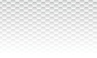 Abstract simple white hexagon background. vector